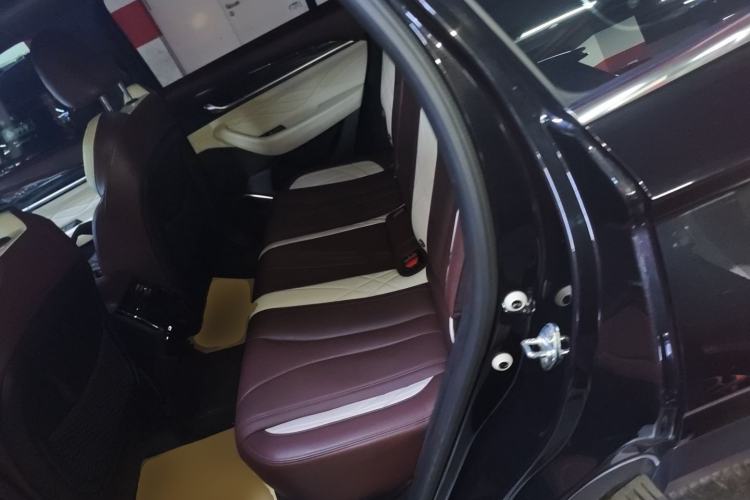 Used Geely Auto Monjaro L 2021 2.0TD DCT EVO Two-Wheel Drive Prestige Version Left Rear Seat