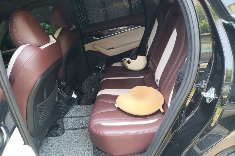 Used Geely Auto Monjaro L 2021 2.0TD High-Power Automatic All-Wheel-Drive Flagship Version Left Rear Seat