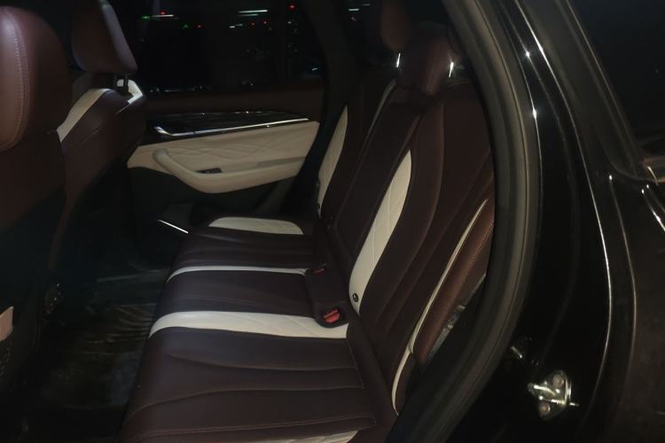Used Geely Auto Monjaro L 2021 2.0TD High-Power Automatic All-Wheel-Drive Flagship Version Left Rear Seat