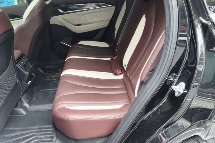 Used Geely Auto Monjaro L 2021 2.0TD DCT EVO Two-Wheel-Drive Flagship Version Left Rear Seat