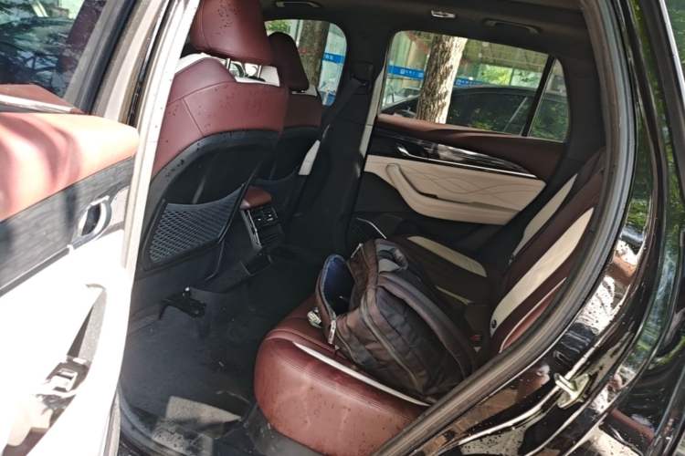 Used Geely Auto Monjaro L 2021 2.0TD DCT EVO Two-Wheel Drive Prestige Version Left Rear Seat