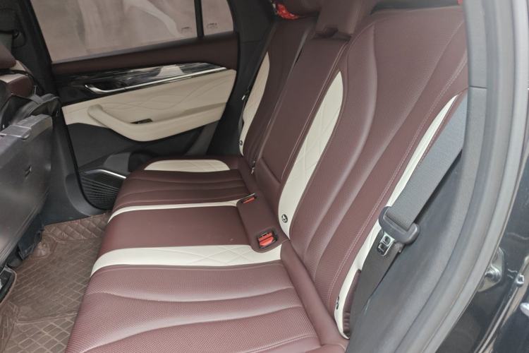 Used Geely Auto Monjaro L 2021 2.0TD DCT EVO Two-Wheel Drive Prestige Version Left Rear Seat