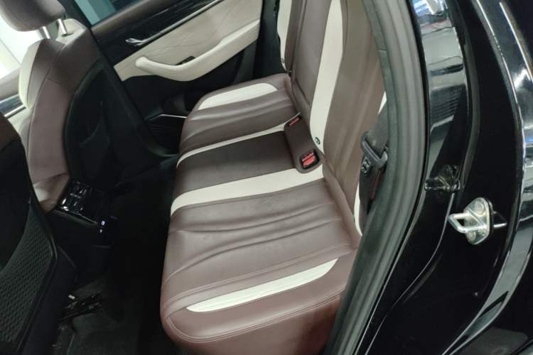 Used Geely Auto Monjaro L 2021 2.0TD DCT EVO Two-Wheel Drive Prestige Version Left Rear Seat