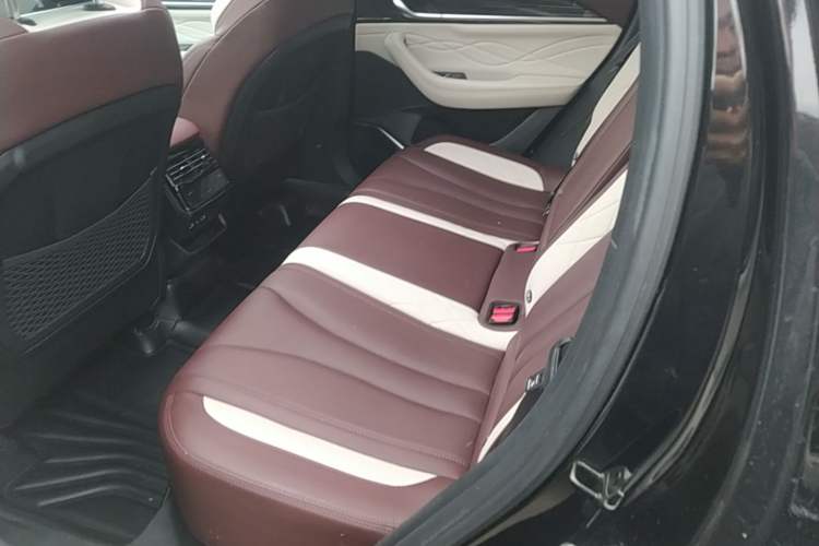 Used Geely Auto Monjaro L 2021 2.0TD DCT EVO Two-Wheel Drive Smart Luxury Version Left Rear Seat