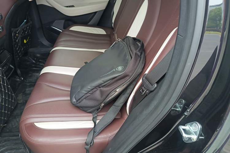 Used Geely Auto Monjaro L 2021 2.0TD DCT EVO Two-Wheel Drive Smart Luxury Version Left Rear Seat