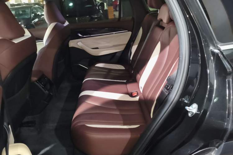 Used Geely Auto Monjaro L 2021 2.0TD DCT EVO Two-Wheel Drive Smart Luxury Version Left Rear Seat