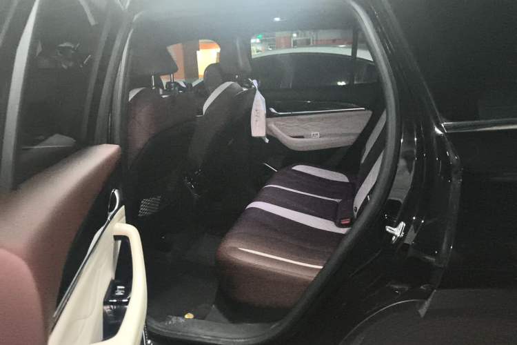 Used Geely Auto Monjaro L 2021 2.0TD DCT EVO Two-Wheel Drive Prestige Version Left Rear Seat