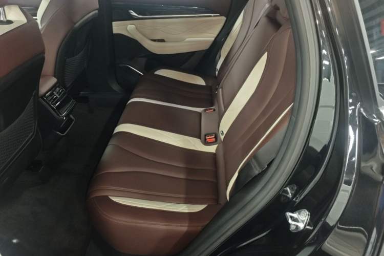 Used Geely Auto Monjaro L 2021 2.0TD DCT EVO Two-Wheel Drive Prestige Version Left Rear Seat
