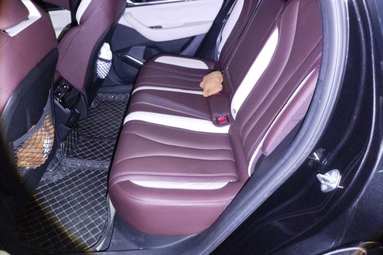 Used Geely Auto Monjaro L 2021 2.0TD DCT EVO Two-Wheel Drive Prestige Version Left Rear Seat