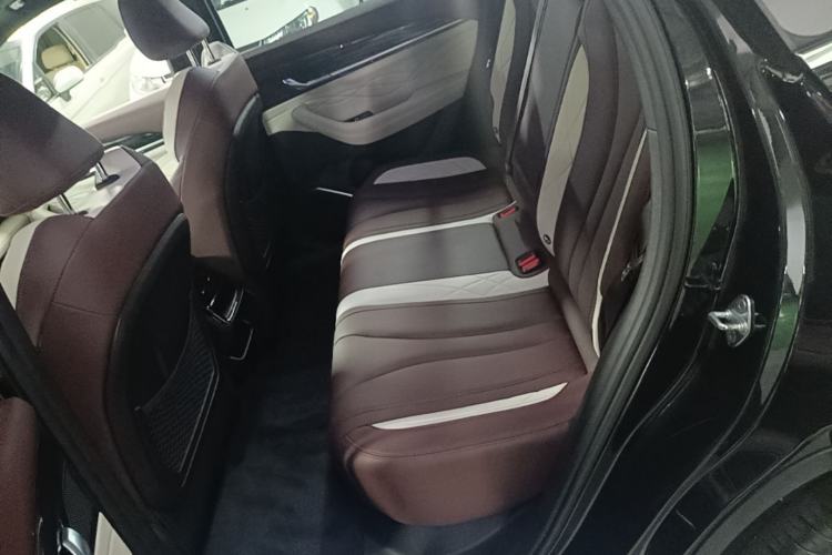 Used Geely Auto Monjaro L 2021 2.0TD DCT EVO Two-Wheel Drive Prestige Version Left Rear Seat