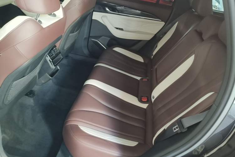Used Geely Auto Monjaro L 2021 2.0TD DCT EVO Two-Wheel Drive Prestige Version Left Rear Seat