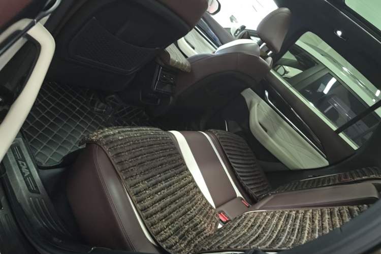 Used Geely Auto Monjaro L 2021 2.0TD DCT EVO Two-Wheel Drive Smart Luxury Version Left Rear Seat