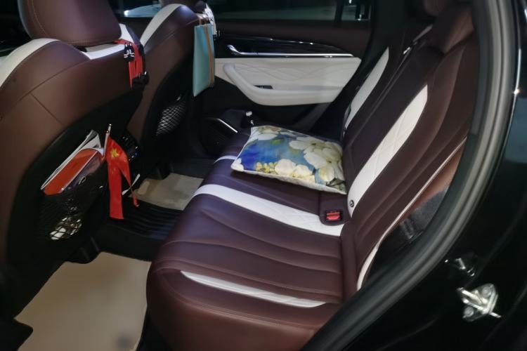 Used Geely Auto Monjaro L 2021 2.0TD High-Power Automatic All-Wheel-Drive Flagship Version Left Rear Seat