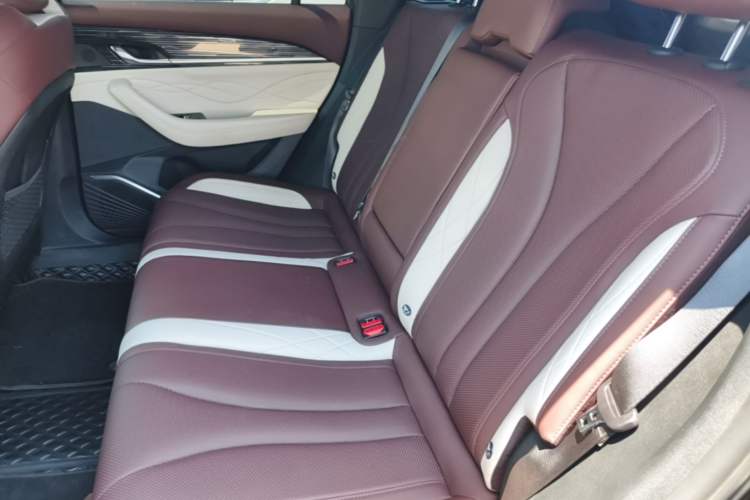 Used Geely Auto Monjaro L 2021 2.0TD DCT EVO Two-Wheel Drive Smart Luxury Version Left Rear Seat