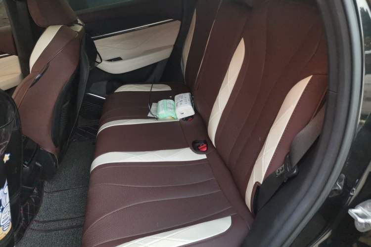 Used Geely Auto Monjaro L 2021 2.0TD DCT EVO Two-Wheel-Drive Flagship Version Left Rear Seat