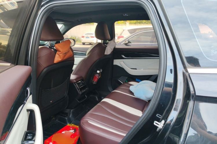 Used Geely Auto Monjaro L 2021 2.0TD DCT EVO Two-Wheel Drive Prestige Version Left Rear Seat