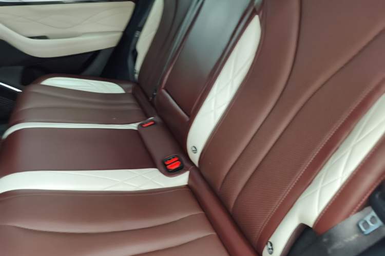 Used Geely Auto Monjaro L 2021 2.0TD DCT EVO Two-Wheel Drive Prestige Version Left Rear Seat