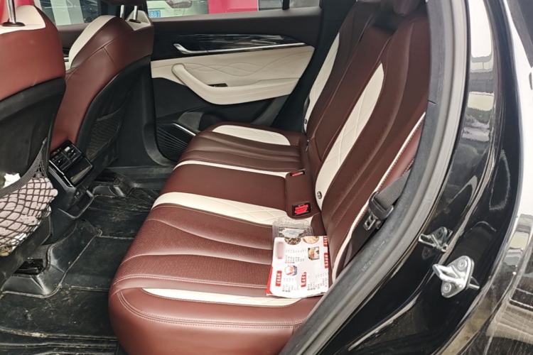 Used Geely Auto Monjaro L 2021 2.0TD DCT EVO Two-Wheel Drive Prestige Version Left Rear Seat