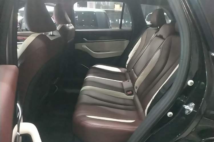 Used Geely Auto Monjaro L 2021 2.0TD DCT EVO Two-Wheel Drive Prestige Version Left Rear Seat