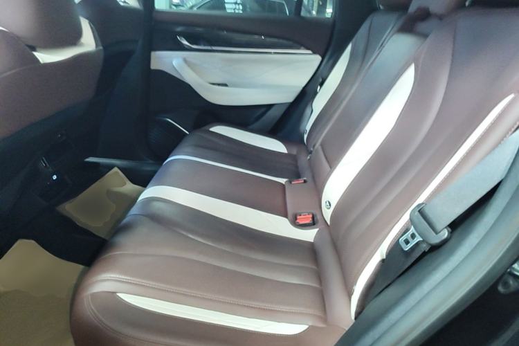 Used Geely Auto Monjaro L 2021 2.0TD DCT EVO Two-Wheel Drive Prestige Version Left Rear Seat