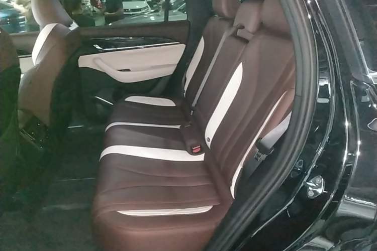 Used Geely Auto Monjaro L 2021 2.0TD DCT EVO Two-Wheel Drive Smart Luxury Version Left Rear Seat