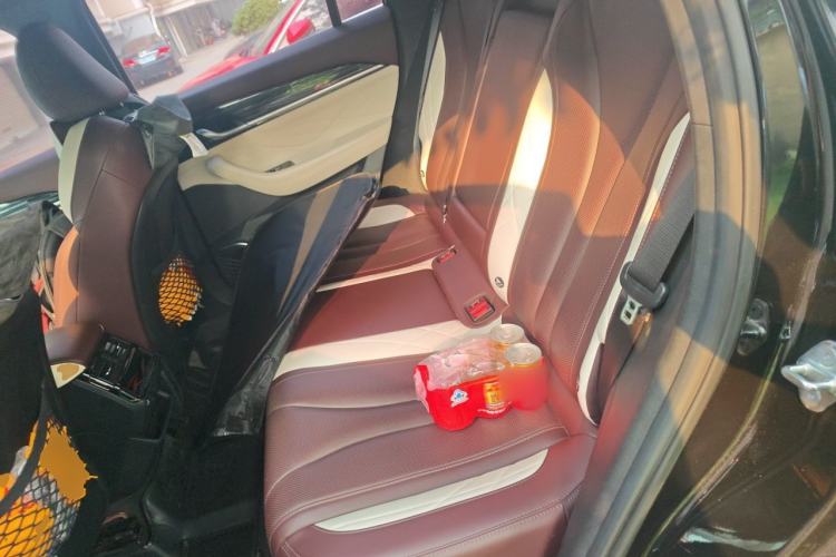 Used Geely Auto Monjaro L 2021 2.0TD DCT EVO Two-Wheel Drive Prestige Version Left Rear Seat
