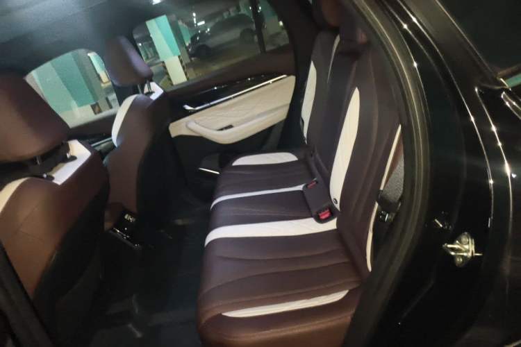 Used Geely Auto Monjaro L 2021 2.0TD DCT EVO Two-Wheel Drive Prestige Version Left Rear Seat