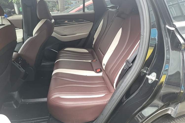 Used Geely Auto Monjaro L 2021 2.0TD DCT EVO Two-Wheel Drive Prestige Version Left Rear Seat