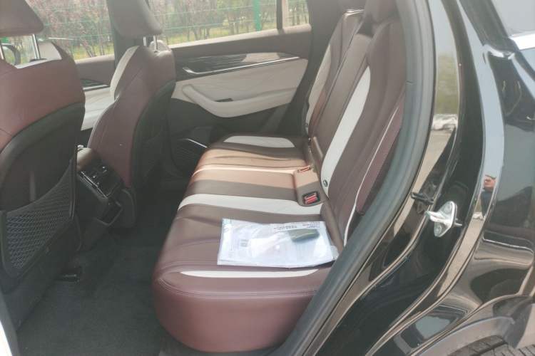 Used Geely Auto Monjaro L 2021 2.0TD DCT EVO Two-Wheel Drive Prestige Version Left Rear Seat