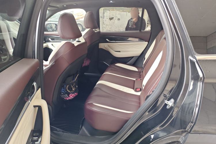 Used Geely Auto Monjaro L 2021 2.0TD DCT EVO Two-Wheel Drive Smart Luxury Version Left Rear Seat