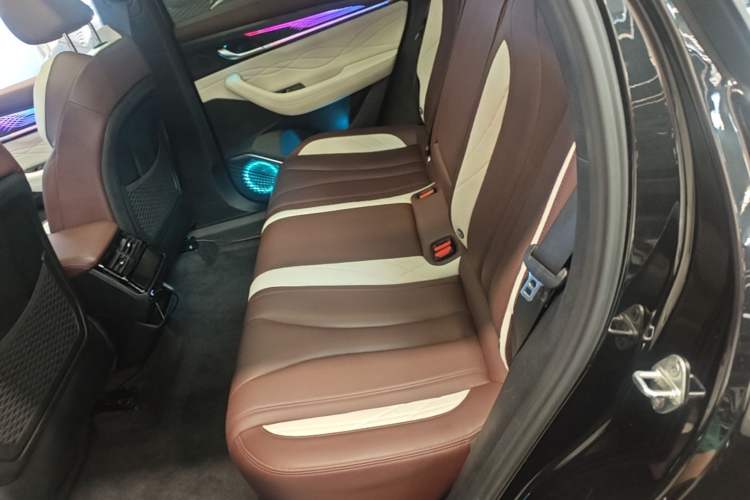 Used Geely Auto Monjaro L 2021 2.0TD DCT EVO Two-Wheel Drive Smart Luxury Version Left Rear Seat