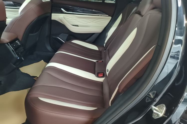 Used Geely Auto Monjaro L 2021 2.0TD DCT EVO Two-Wheel Drive Smart Luxury Version Left Rear Seat