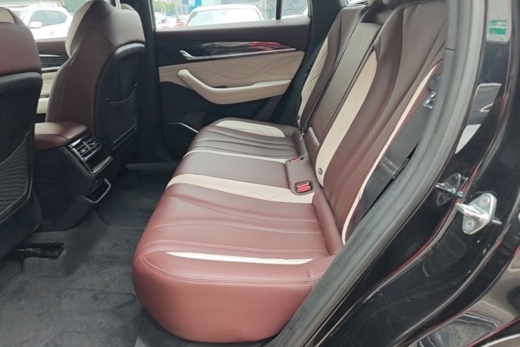 Used Geely Auto Monjaro L 2021 2.0TD DCT EVO Two-Wheel Drive Prestige Version Left Rear Seat