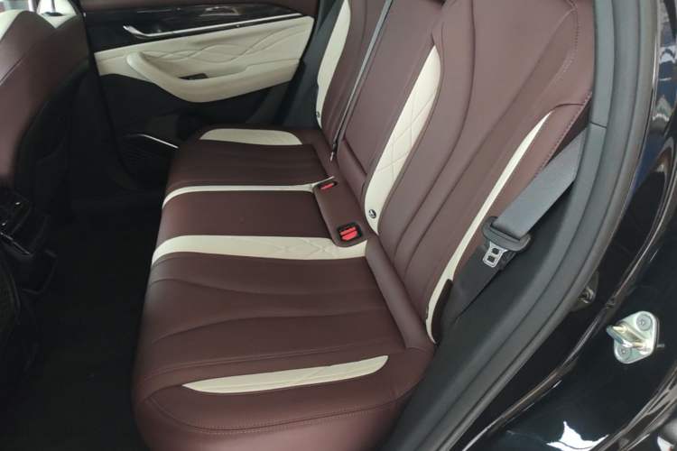 Used Geely Auto Monjaro L 2021 2.0TD DCT EVO Two-Wheel Drive Prestige Version Left Rear Seat