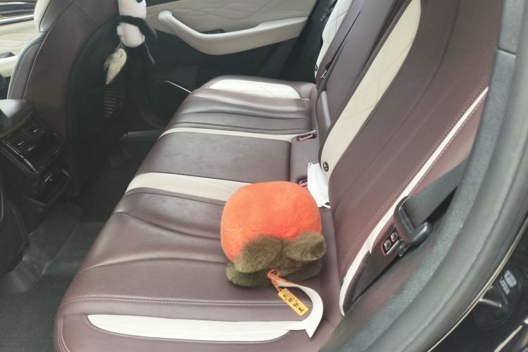 Used Geely Auto Monjaro L 2021 2.0TD DCT EVO Two-Wheel Drive Prestige Version Left Rear Seat