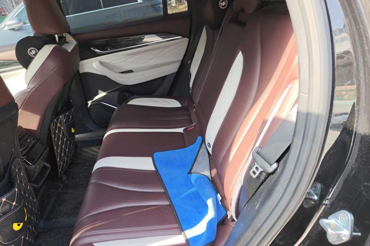 Used Geely Auto Monjaro L 2021 2.0TD DCT EVO Two-Wheel-Drive Flagship Version Left Rear Seat