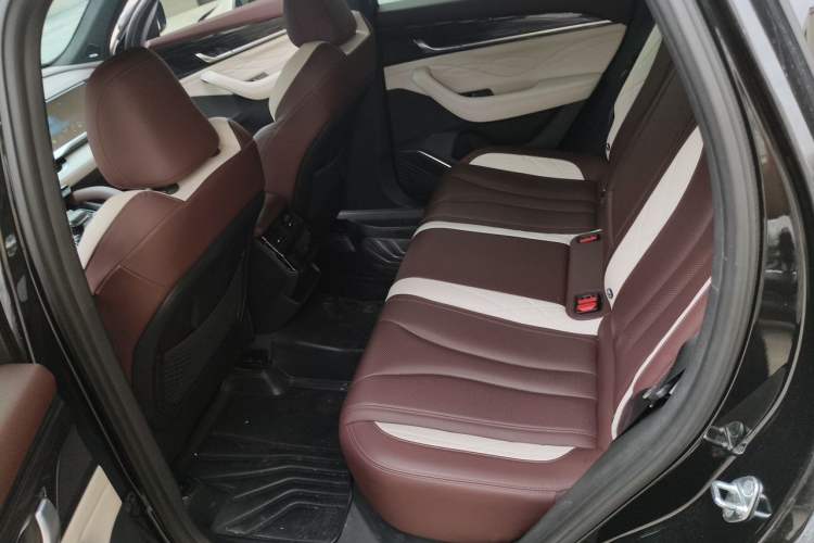 Used Geely Auto Monjaro L 2021 2.0TD High-Power Automatic All-Wheel-Drive Flagship Version Left Rear Seat