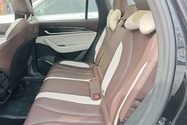 Used Geely Auto Monjaro L 2021 2.0TD High-Power Automatic All-Wheel-Drive Flagship Version Left Rear Seat