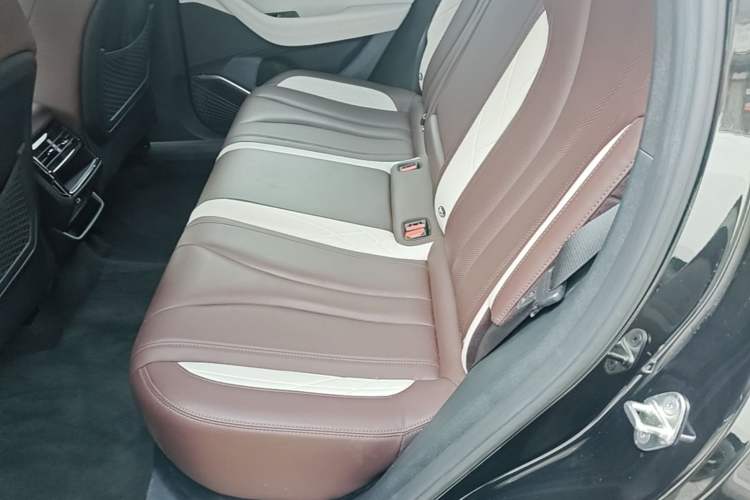 Used Geely Auto Monjaro L 2021 2.0TD DCT EVO Two-Wheel Drive Prestige Version Left Rear Seat