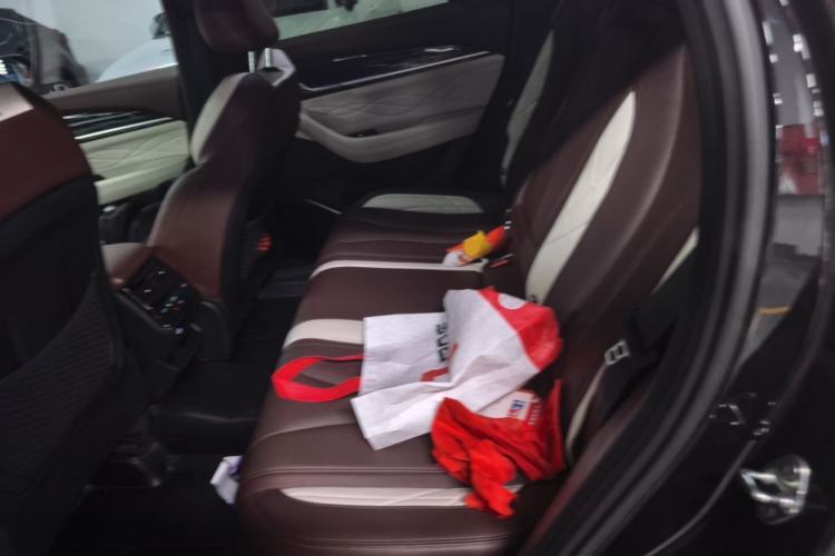 Used Geely Auto Monjaro L 2021 2.0TD High-Power Automatic All-Wheel-Drive Flagship Version Left Rear Seat