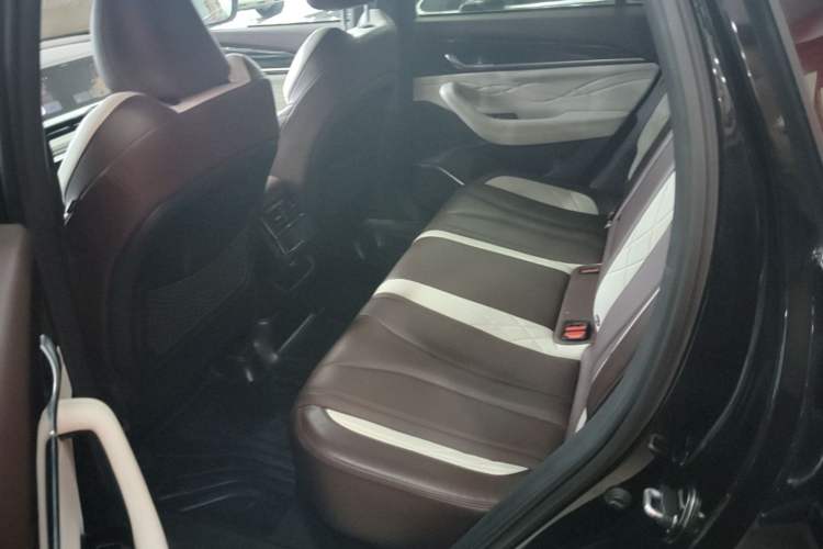Used Geely Auto Monjaro L 2021 2.0TD DCT EVO Two-Wheel-Drive Flagship Version Left Rear Seat