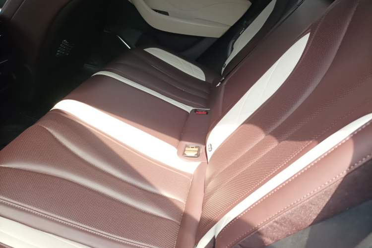 Used Geely Auto Monjaro L 2021 2.0TD DCT EVO Two-Wheel-Drive Flagship Version Left Rear Seat