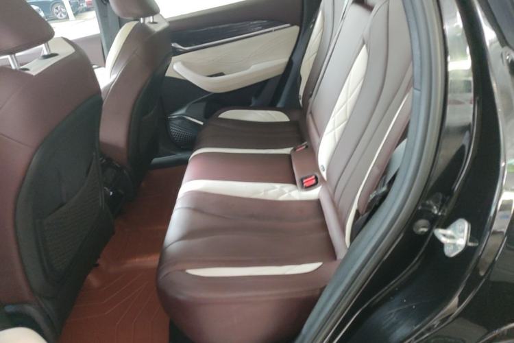 Used Geely Auto Monjaro L 2021 2.0TD DCT EVO Two-Wheel Drive Smart Luxury Version Left Rear Seat