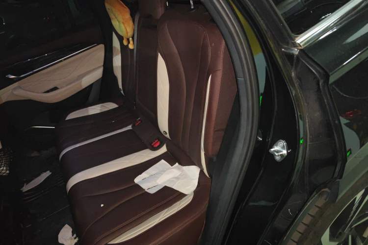 Used Geely Auto Monjaro L 2021 2.0TD DCT EVO Two-Wheel Drive Smart Luxury Version Left Rear Seat