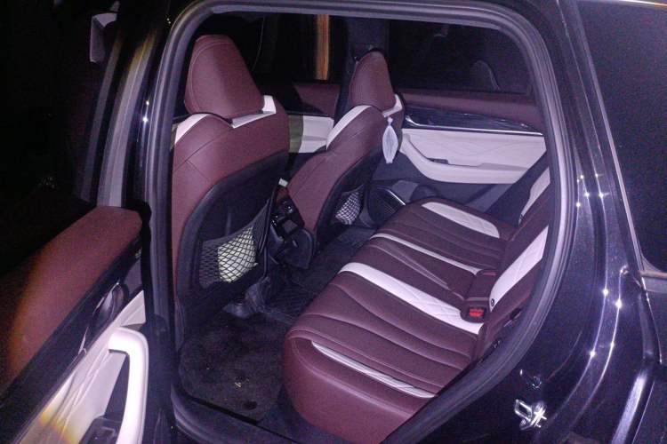 Used Geely Auto Monjaro L 2021 2.0TD DCT EVO Two-Wheel Drive Smart Luxury Version Left Rear Seat