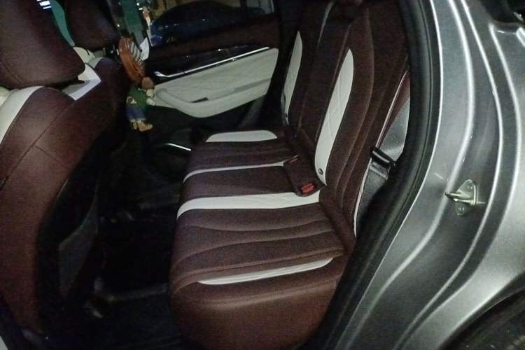 Used Geely Auto Monjaro L 2021 2.0TD DCT EVO Two-Wheel Drive Prestige Version Left Rear Seat