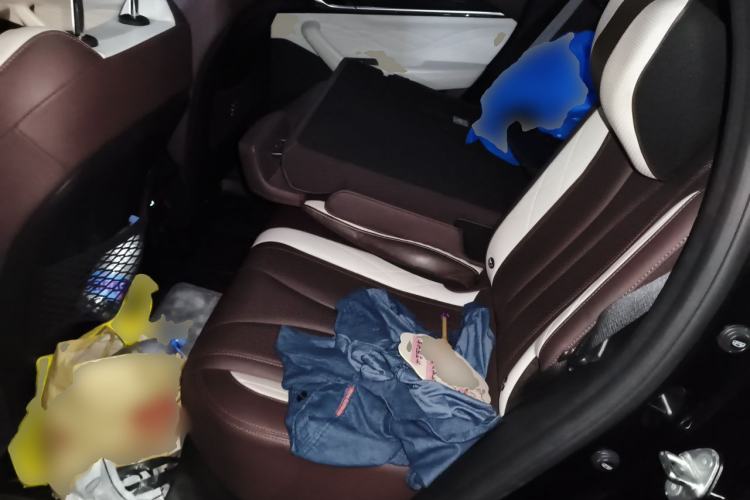 Used Geely Auto Monjaro L 2021 2.0TD DCT EVO Two-Wheel Drive Prestige Version Left Rear Seat