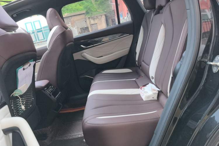 Used Geely Auto Monjaro L 2021 2.0TD DCT EVO Two-Wheel Drive Prestige Version Left Rear Seat