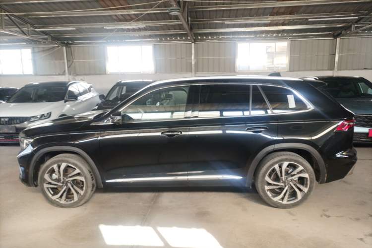 Used Geely Auto Monjaro L 2021 2.0TD High-Power Automatic All-Wheel-Drive Flagship Version Left Side