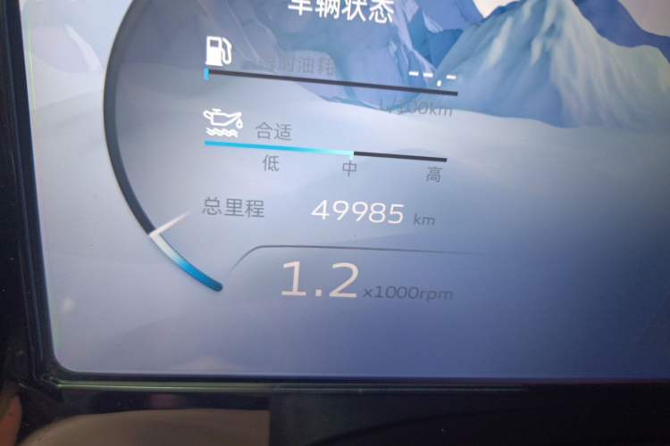 Used Geely Auto Monjaro L 2021 2.0TD DCT EVO Two-Wheel Drive Prestige Version Odometer Close Up